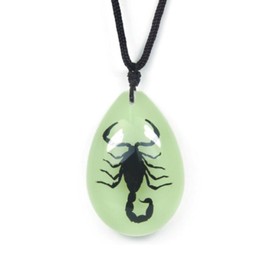 Medium Necklace Black Scorpion with a Glow in the Dark Background. 22" Adjustable