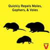 Victor Mole & Gopher Repellent Ready-to Use Spray - M8002-32