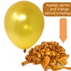 Allgala 100ct 12" Helium Grade Premium Latex Balloons-Gold-BL52003