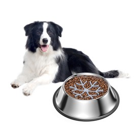 KeeKit Slow Feeder Dog Bowl, 2-in-1 Metal Pet Bowl with Slow Feeder Insert, Food Grade 304, with Anti-Slip Silicone Base, Suitable for Medium Dogs