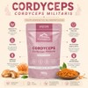 Wildmountain Cordyceps Militaris en Polvo 100g Hongo Adaptógeno | Suplemento