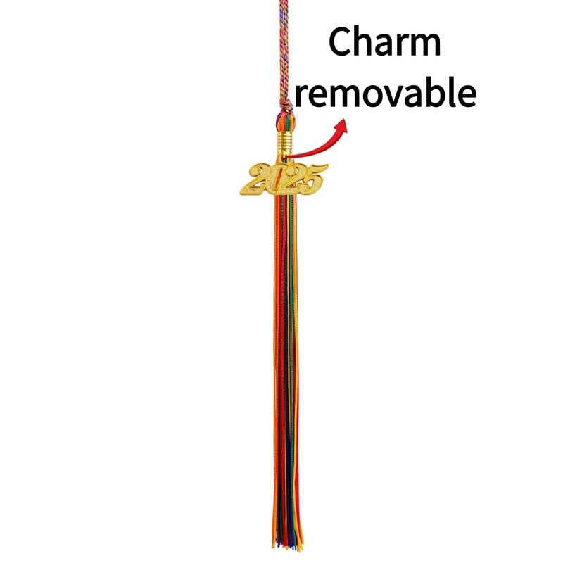 GRADFTY Graduation Tassel 2025,Rainbow Tassel 2025