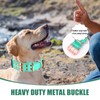 Yunleparks Heavy Duty Dog Collar Tactical Dog Collar with Neoprene
