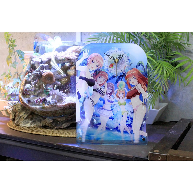 Seasonal Plants The Quintessential Quintuples Big Acrylic Table Clock, Approx.