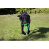 Activity4Dogs Dog Toy for Large Dogs, Ball with Loop, Set