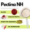 SaporePuro - Pectina NH 200 g per Nappage, Glasse e
