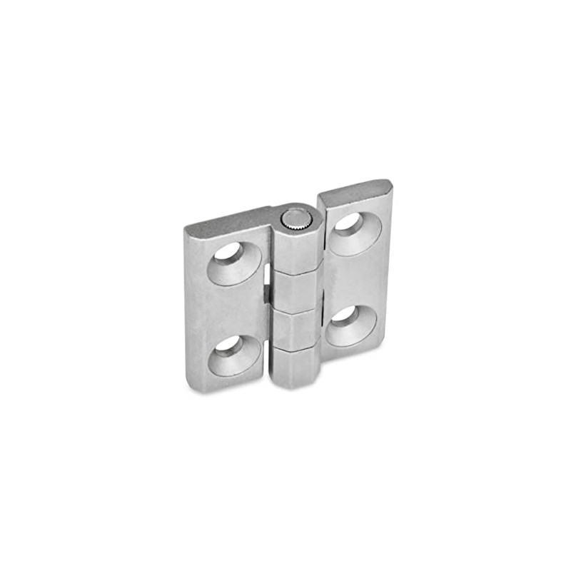 Ganter Standard Elements (GN Ni/40/40 Amp GS – Hinges |