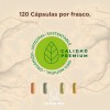 Complejo Raíces Zen 640mg 120 Cápsulas Sabor Suplemento Energético