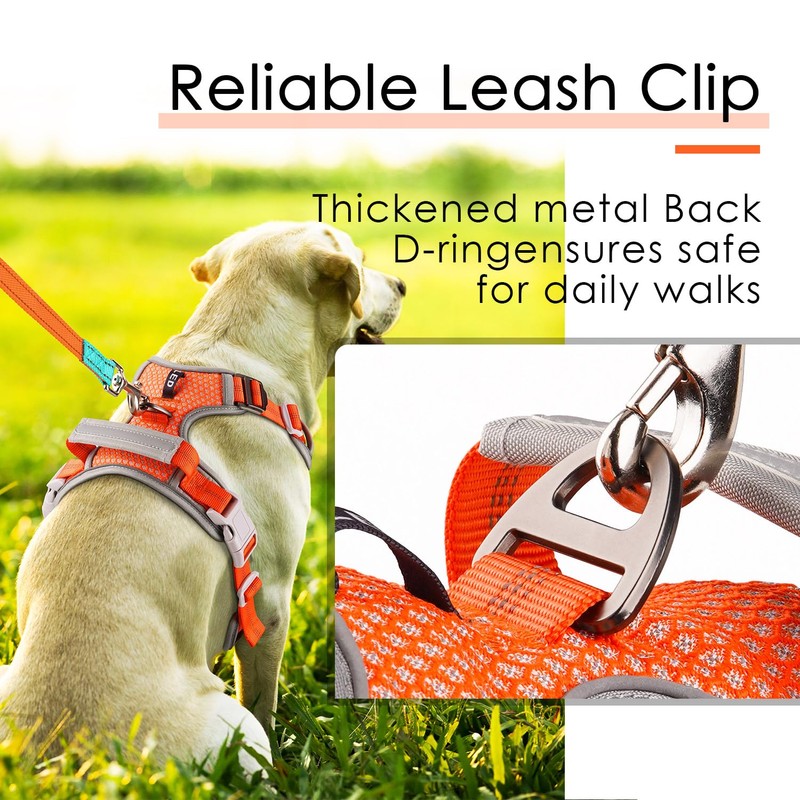 ThinkPet Dog No-Pull Sports Harness with Handle, for Medium and