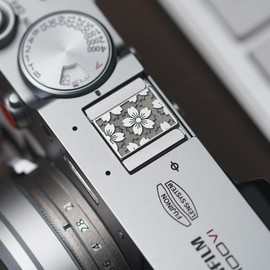 DBZZ Metal Hot Shoe Cover Suitable for Fuji XT 10/X 100 F/X 100 V/X 100 VI/XE 4/XPRO 3/XPRO 2 Nikon Canon Universal Hot Boot Cover (Silver flower cover)