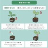 RIRAI Grafting Clips, Each Size, 30 Pieces (Total 90 Pieces),