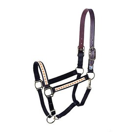 Perri's Ribbon Safety Halter Horse Foxes