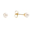 STUDEX Sensitive White Pearl Stud Earrings 5mm | Hypoallergenic and