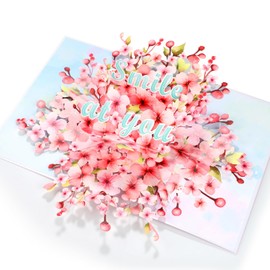 Happy Birthday Pop Up Cards, 3D Daisy Flowers Pop Up Card for Teacher Appreciation Gifts, Little Daisy 3D Greeting Card with Envelop and Blank Note, 3D Floral Greeting Card for Mother¡¯s Day, Thanksgiving Day, Birthday