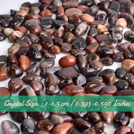 SigMntun Polished Petrified Wood Crystal Stone Set - 10 oz Handpicked Tumbled Gemstones Rocks, Pebbles for Reiki, Chakra, Healing, Petrified Wood 0.5" -10 oz