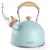 Yanhao Kettle, Whistling Kettle, 0.8 gal (2.5 L), Wide Mouth