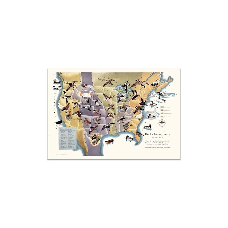 Ducks, Geese & Swans Flyways Map Poster – United States