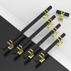 Coinkoly 10 Pack Gold and Black Cabinet Knobs Single Hole