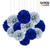 CC wonderland zone 12Pcs Navy Blue and Silver Hanging Tissue