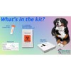 Dragon Lab & Canine Lungworm Test Kit Blood Screening for