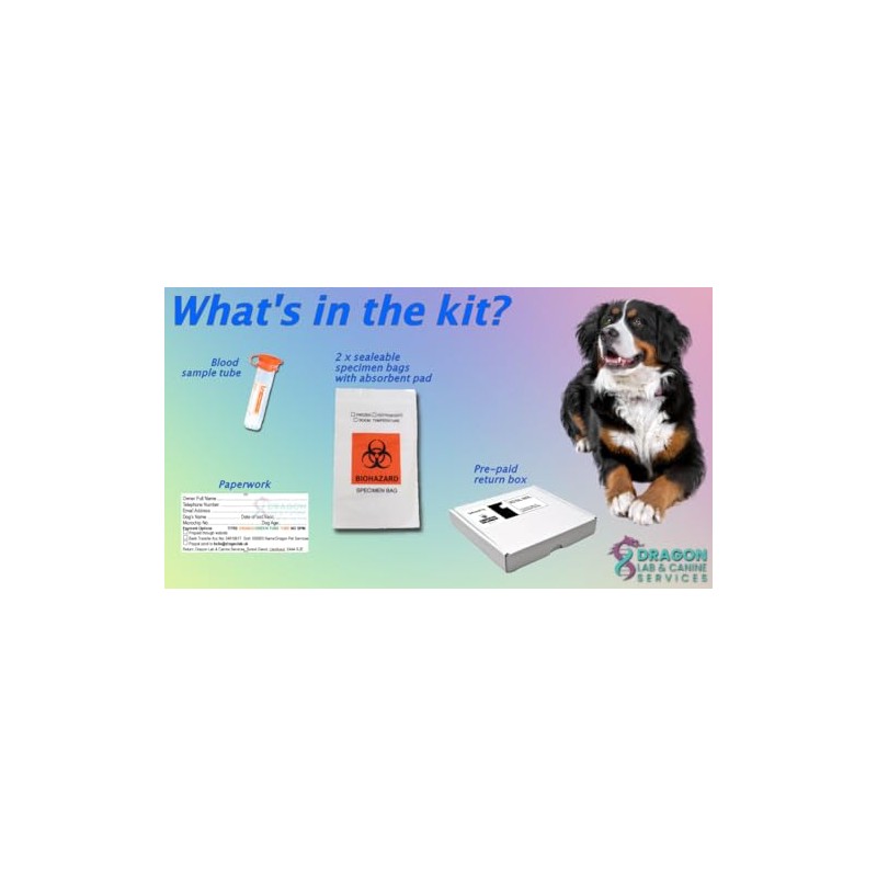 Dragon Lab & Canine Lungworm Test Kit Blood Screening for