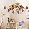 Dremisland Stuffed Animal Toy Net Hammock with Star Light Boho