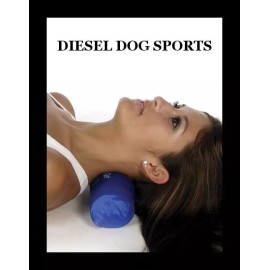 ELASTO-GEL CERVICAL NECK SUPPORT ROLL PILLOW ELASTOGEL SM 10"X3"