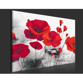 murando - Painting by Numbers Red Poppies Flowers Nature 60 x 40 cm Painting Set with Wooden Frame on Canvas for Adults Children Painting Hand Painted Kit DIY Gift Decoration