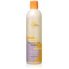 Earth Science Fragrance Free Shampoo, 12 fl. oz. (Pack of 2)