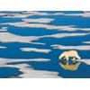 New York Puzzle Company - National Geographic Polar Bear on Ice - 500 Piece Jigsaw Puzzle
