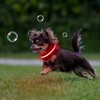 Flashseen LED Cat Collar,Light Up Dog Collar Rechargeable, Dog Lights