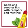 Carmex Lip Balm Tubes (Pack of 12) by Carmex