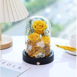 Pinnetetti Flowers for Delivery Prime Preserved Roses Flowers in Glass Dome Long-Lasting Real Yellow Forever Roses Anniversary Christmas Valentines Day Birthday for for Her Women Mother Wife