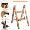 ACSTEP Aluminum 2 Step Stool, Lightweight Folding Two Step Stool,