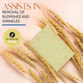 T.TAIO Soap Sponge for Shower, Bath Wash Scrubber for Body, Foot, Face, Massage & Lather, Oatmeal, Mini Soap Included, Bathroom Accessories