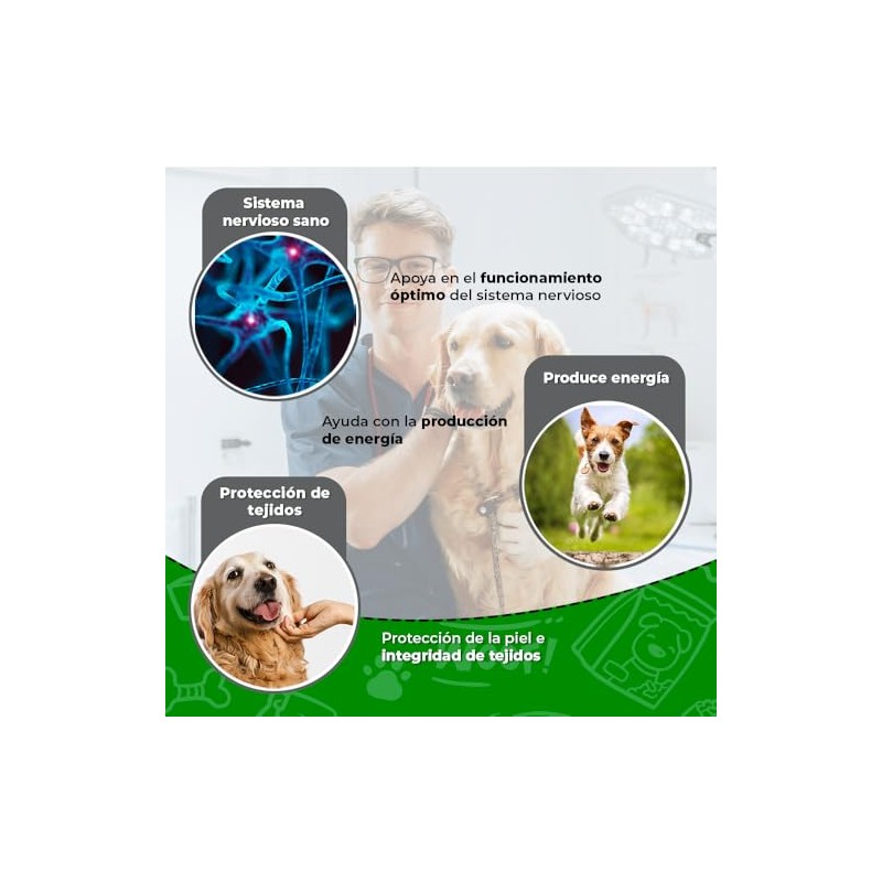 Fancy Pets MS Sumplemento para Perros Vitaliity con 60 tabletas