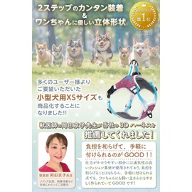 【獣医師推薦】犬 ハーネス （2ステップで簡単装着・首やお腹への負担軽減） 夜間反射材 サイズ調節可能 小型犬 中型犬 大型犬 (くすみブルー, XS)