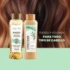 ANYELUZ Set De Champú Y Acondicionador De Romero - Con