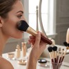 Kumano Brush Set KFi-R156