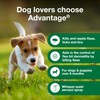 Advantage Dog Flea Treatment Spray | Kills Fleas & Ticks