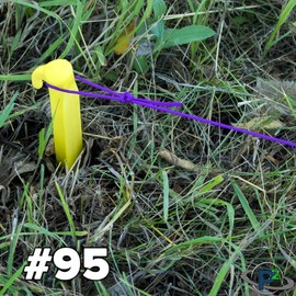 Paracord Planet 95 Type 1 Cord – Tent Rope– Many Colors & Lengths to Choose from