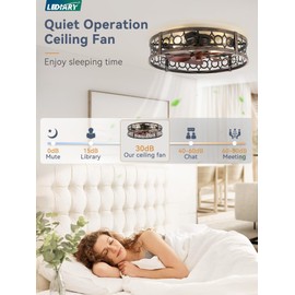 LEDIARY Caged Flush Mount Ceiling Fans with Lights, 23 Inch Farmhouse Low Profile Ceiling Fan with Remote, Small Bladeless Fan Lights Ceiling Fixtures for Bedroom, Kitchen- Black and Gold