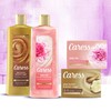 Caress Beauty Bar Soap For Noticeably Silky Soft Skin Daily