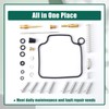 YUXIVCNE 26-1210 Carburetor Repair Kit Replacement for Honda TRX350FE TRX350FM
