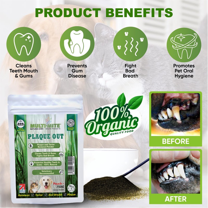 PLAQUE OUT Pouch Tartar Plaque Off Remover, 100% Natural &