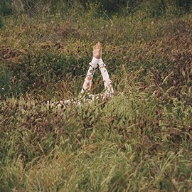 New Skin [VINYL] by VÃRITÃ [Vinyl]