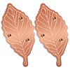 Niteguy Bird Bath Copper Disk,Bird Bath Purification Disk 0.6mm Reinforced