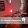 Lava Lamp Bulb, 6 Pack 25 Watt Lava Lamp Light