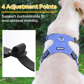 LIOPARD Dog Harness, Easy Walk Pet Harness No Pull with 2 Leash Clips, Reflective Running Soft Padded Adjustable Puppy Vest, Heavy Duty Seatbelt Harness for Car for Small Dogs (Blue, XL)