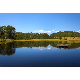 Healthy Ponds Pond Water Dye, Blue, Pourable Granules, 17.6 Ounces, Treats up to 1.7 Million Gallons